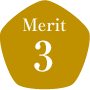 Merit3